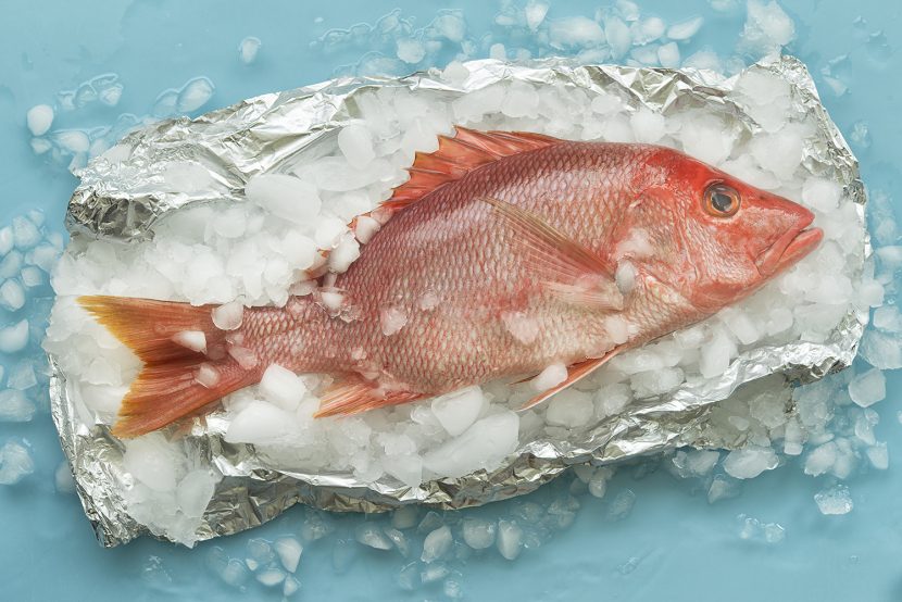 red-snapper-on-ice-S1